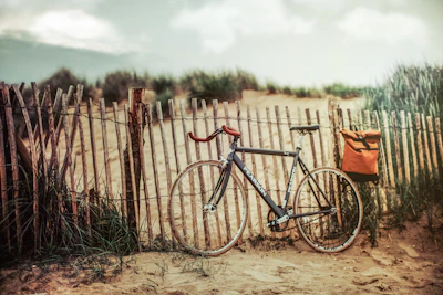 A vintage bicycle leaning against a sandy pathway beside wild green reeds by the Adriatic coast.