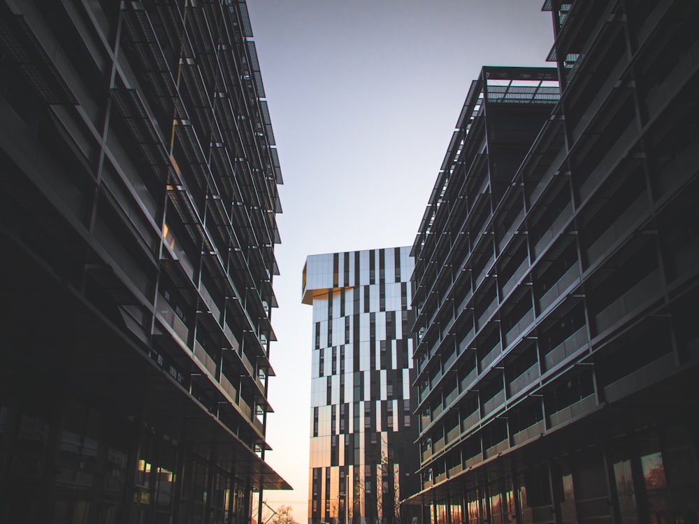 low angle photography of concrete buildings during golden hour