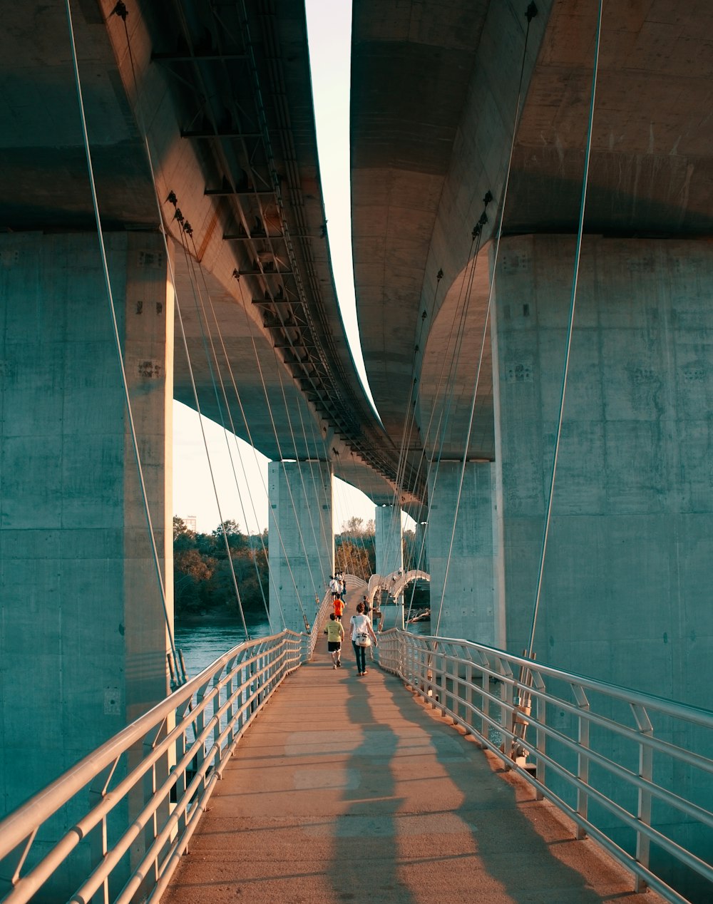 people walking on walk bridge during daytime