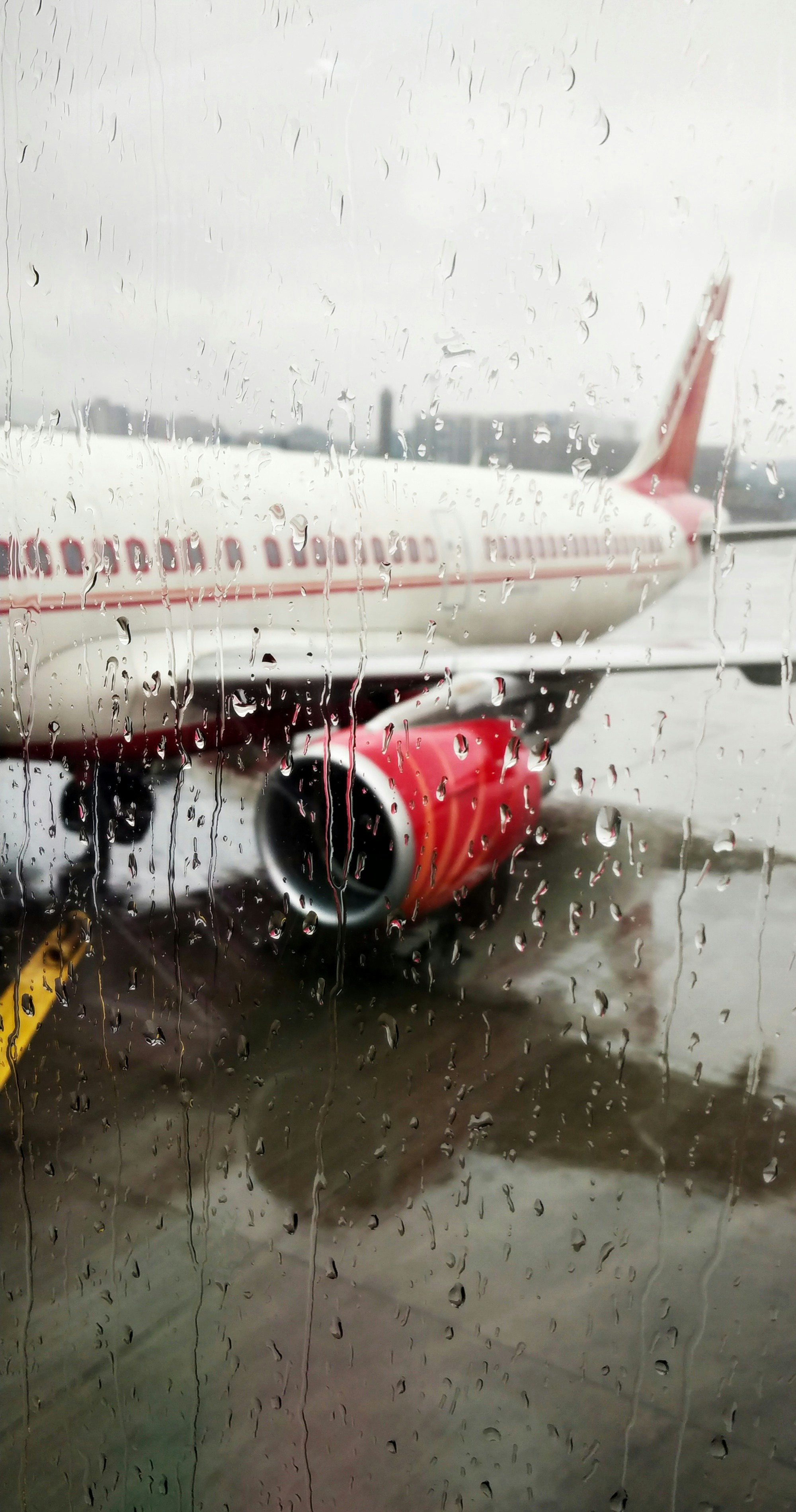 Understanding Aging Cells in Progressive MS: Key Insights