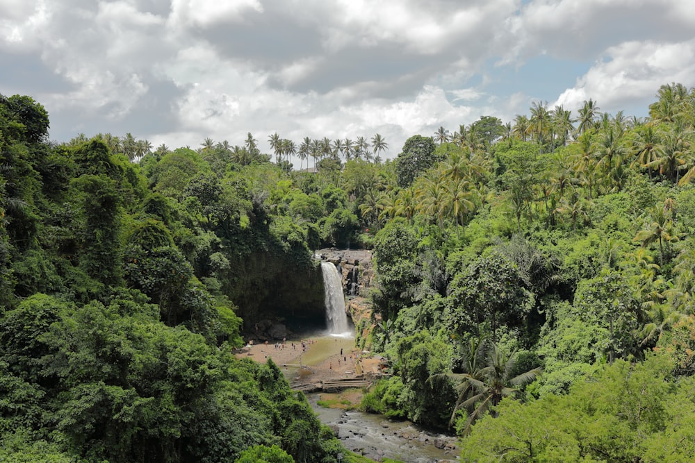 landscape photography of trees and water falls