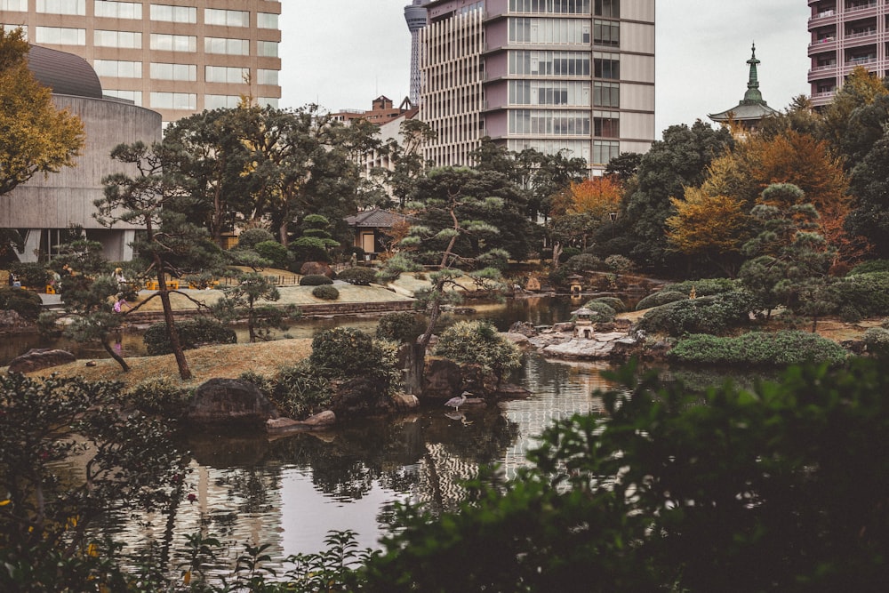 view of trees near building