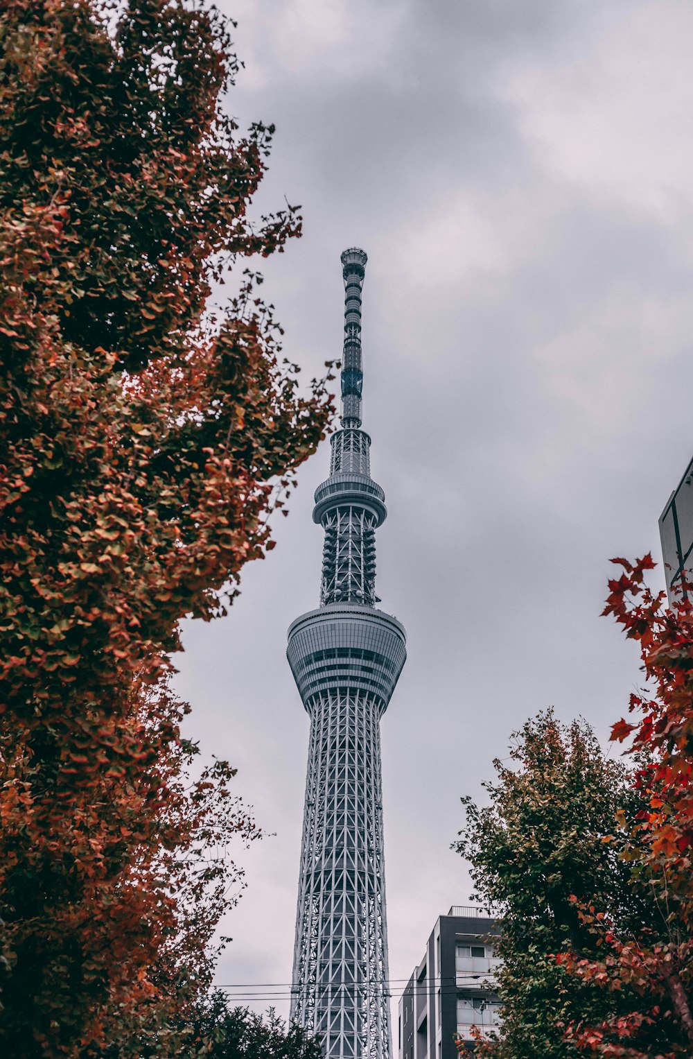 gray tower near buildings and trees