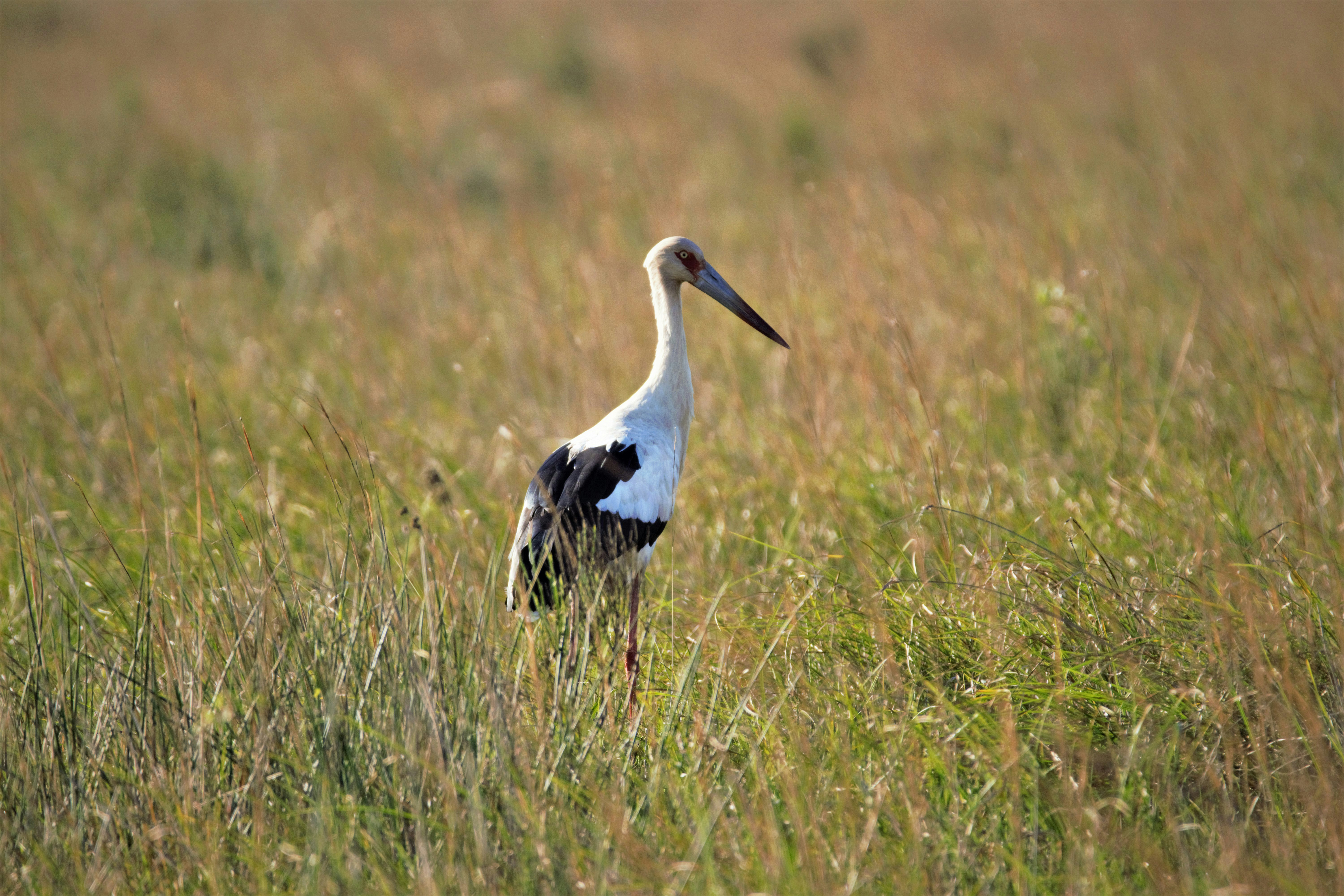 인천 SSG랜더스필드 주차 팁과 혼잡 시간