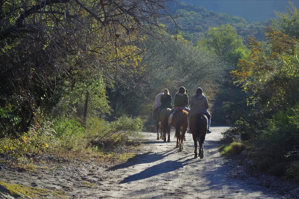 three person riding horse