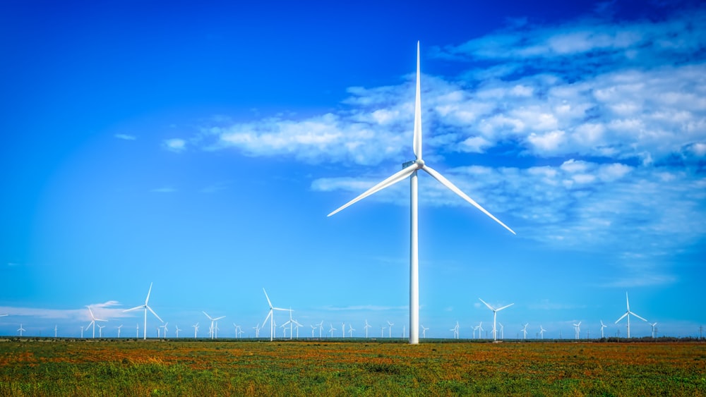 view of windmills