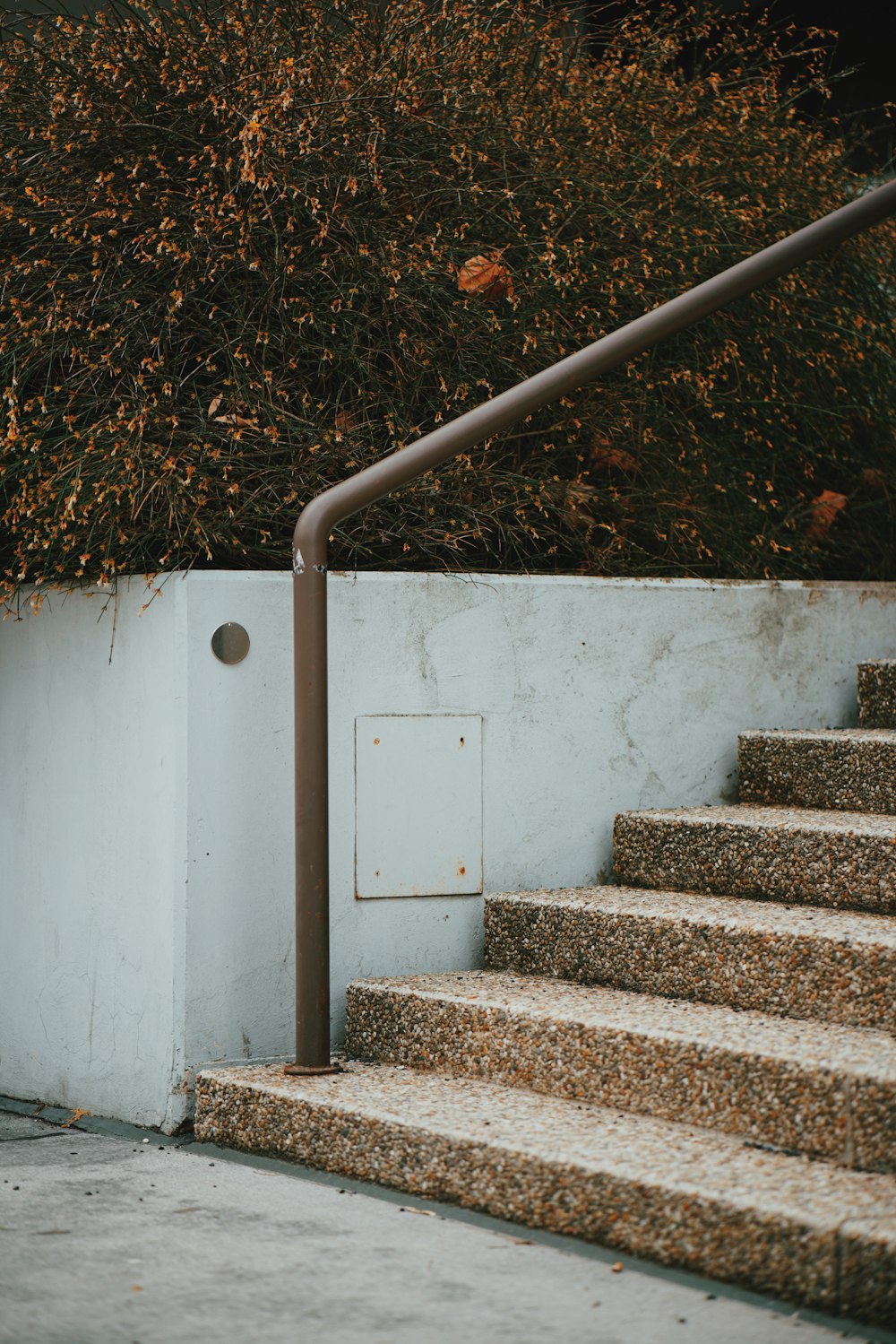 brown concrete stair