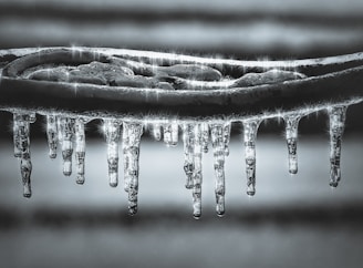 grayscale photography of water drops ice