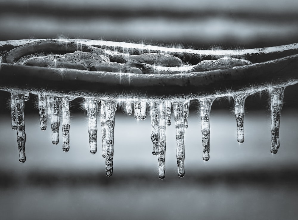 fotografia in scala di grigi di gocce d'acqua ghiacciata