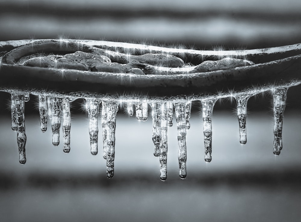 grayscale photography of water drops ice