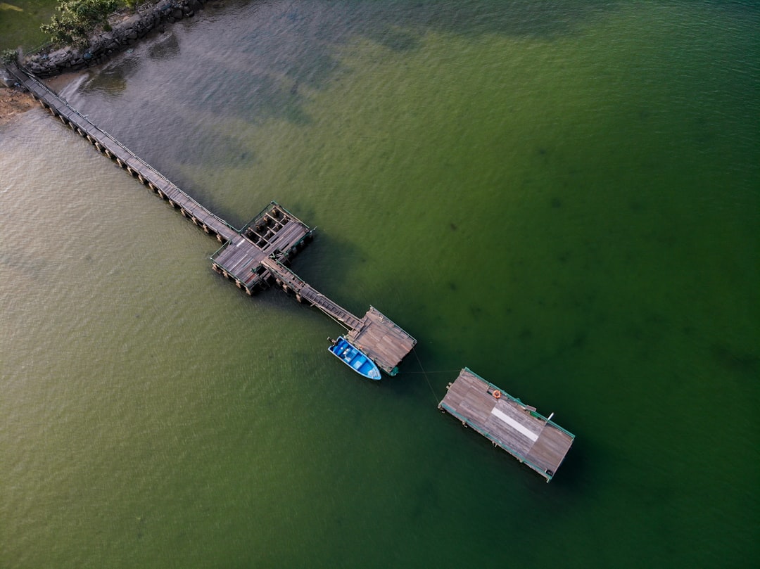 aerial photography of blue speedboat near dock