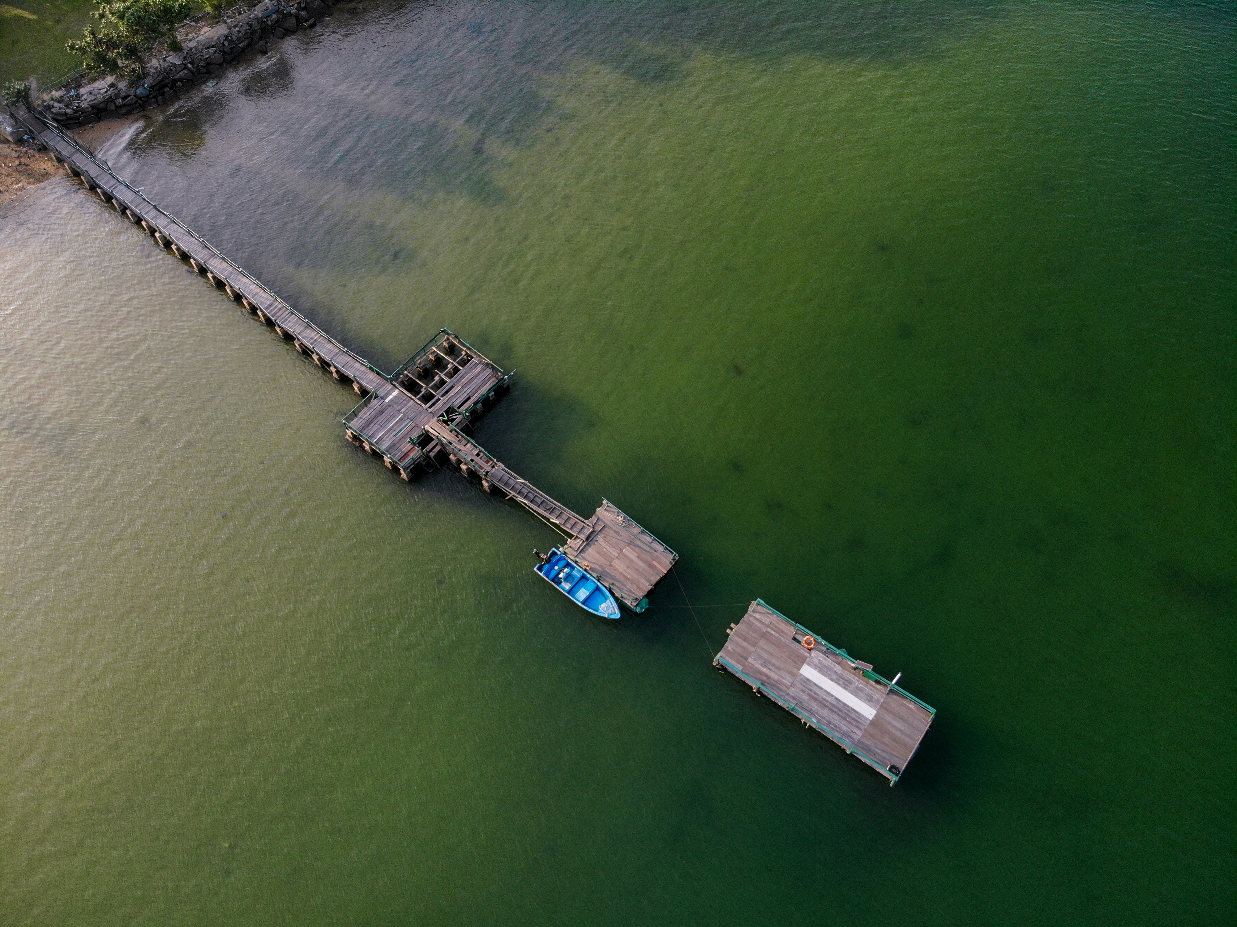 aerial photography of blue speedboat near dock