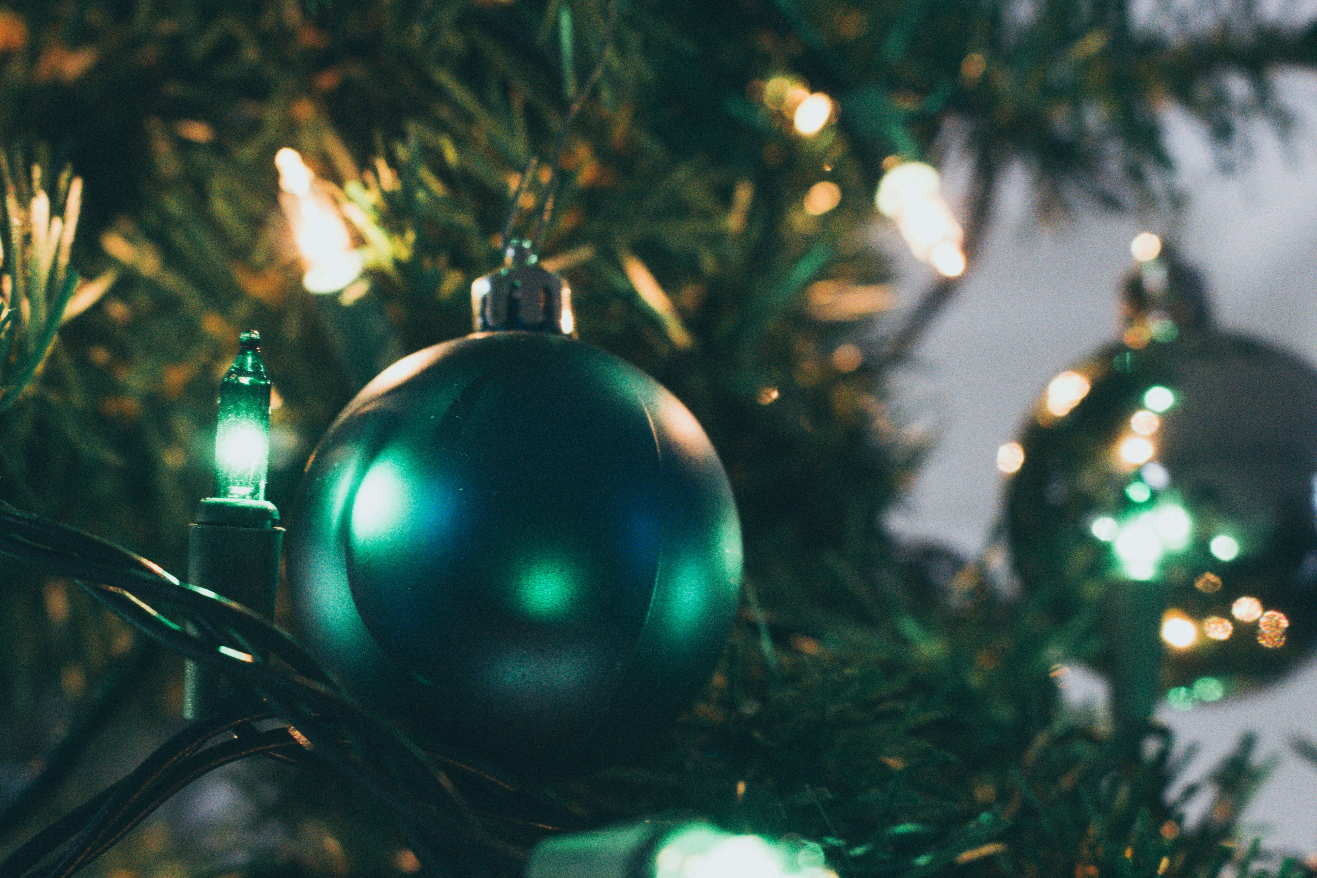 🎄Noche Buena, Holiday Day Passes and Movie Nights 🎞️