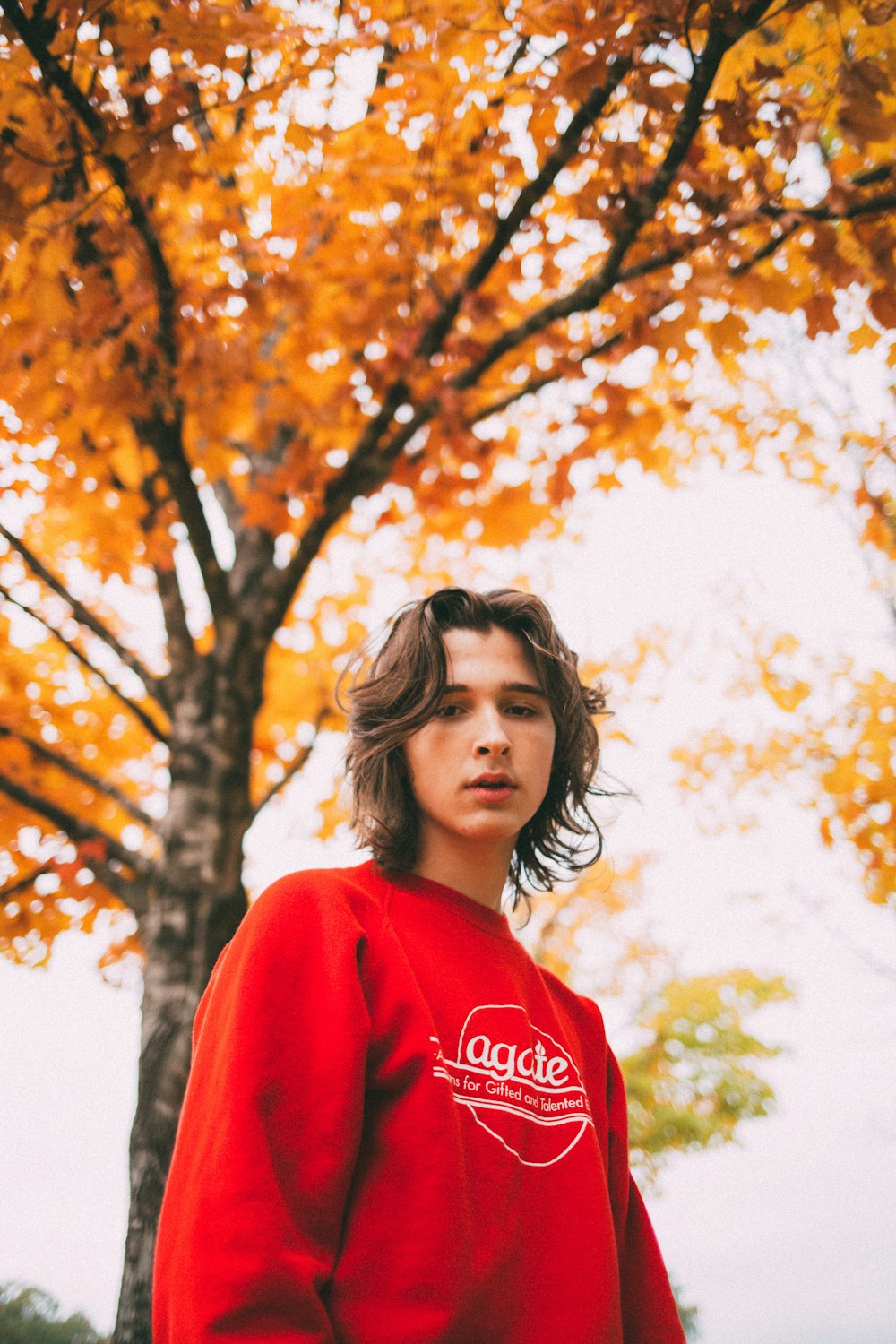 standing man wearing red sweatshirt near orange-leafed tree