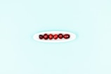 Seven red cranberries are neatly arranged in a small, elongated white dish set against a light blue background. The minimalistic composition emphasizes the vibrant color of the cranberries in contrast to the soft pastel backdrop.