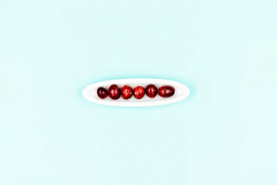 Close-up of fresh cranberries and delicate pressed flowers arranged on a clean white surface.