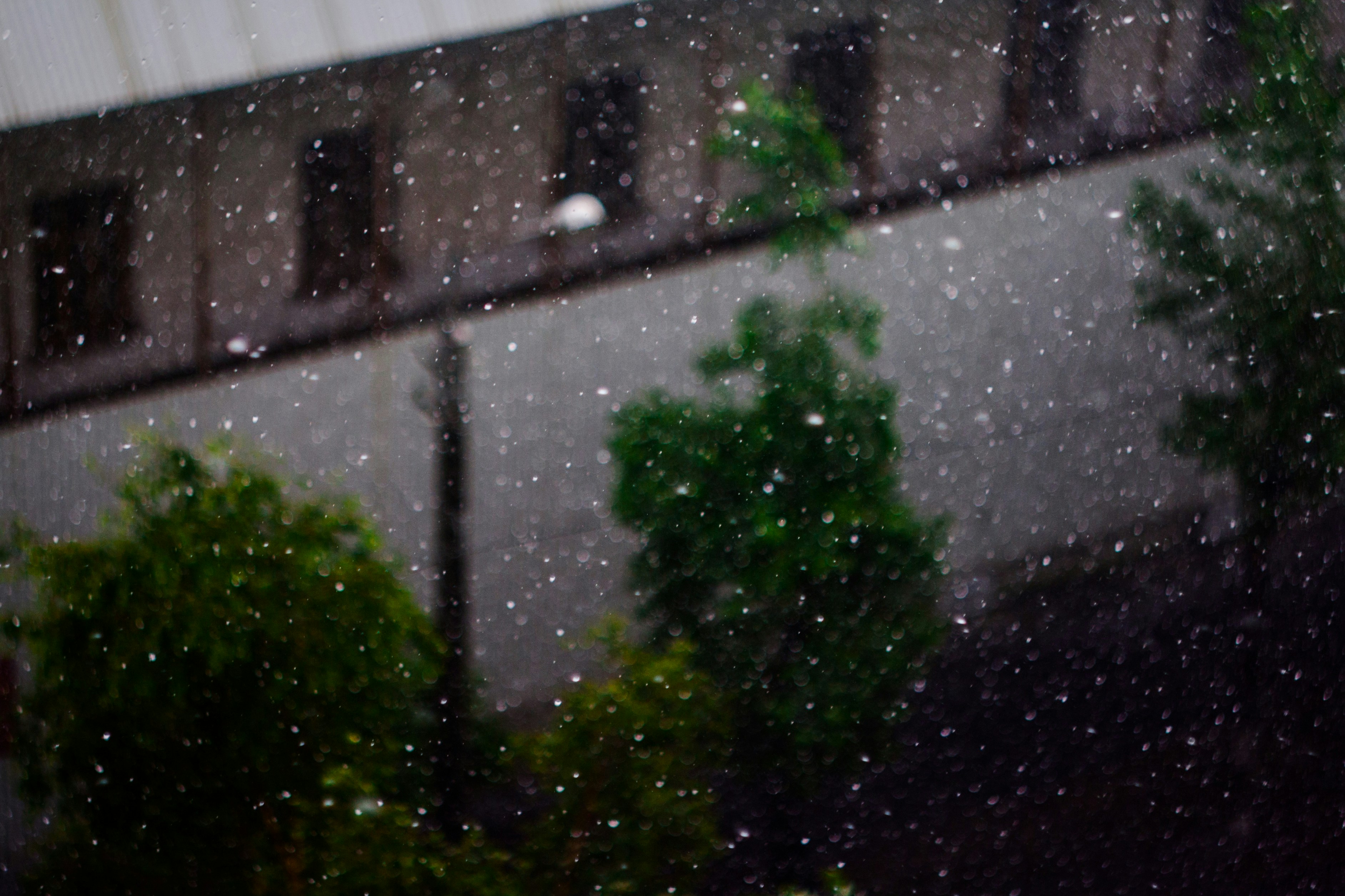 Photo by antohakraev