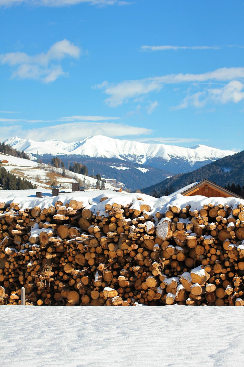 pile of firewood lot