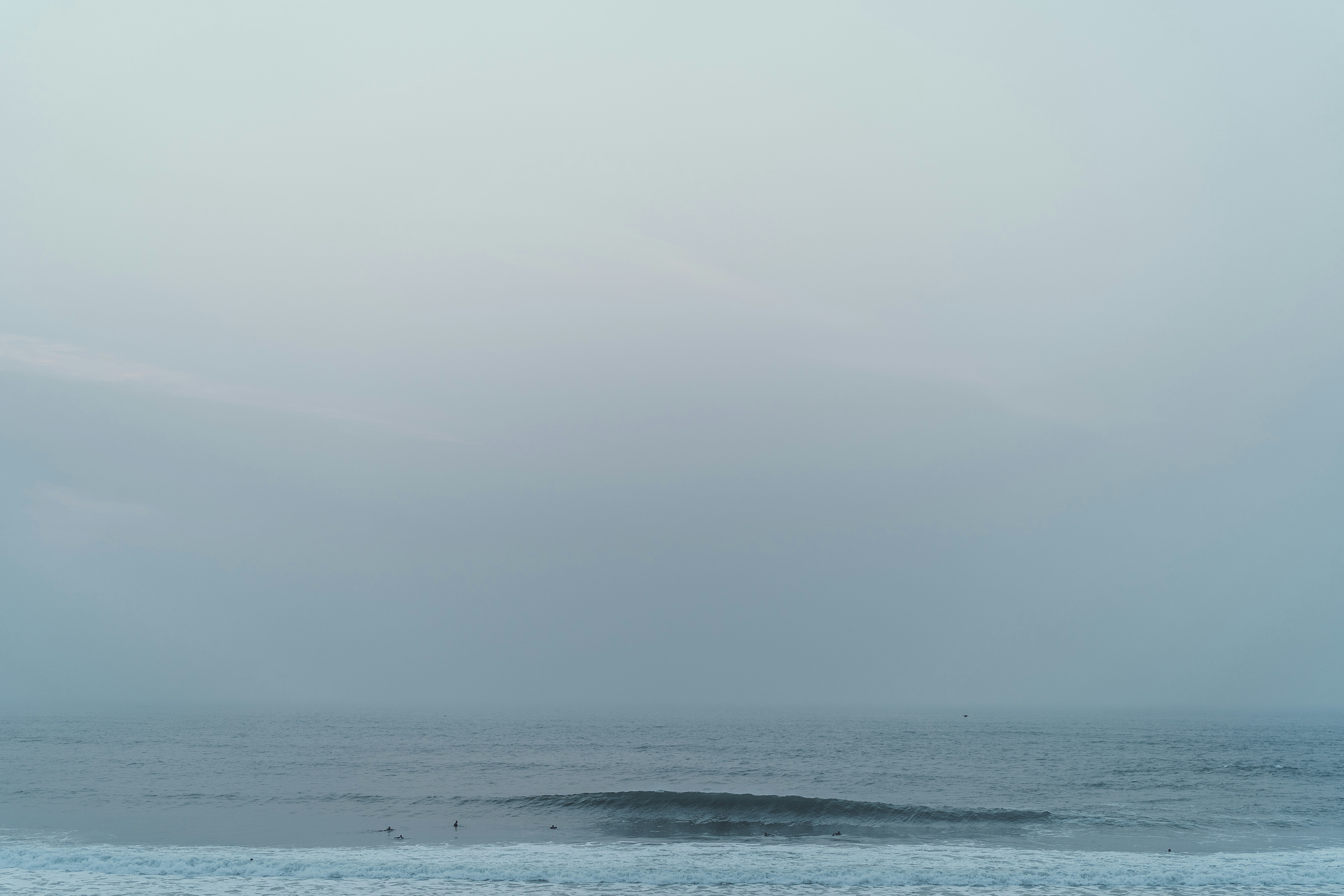 Photo by jeremysallee