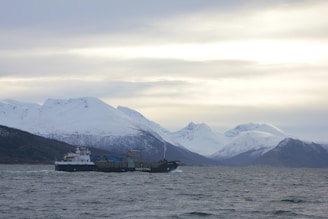 A cargo ship sails on a cold, choppy sea with snow-capped mountains in the background under a cloudy sky.