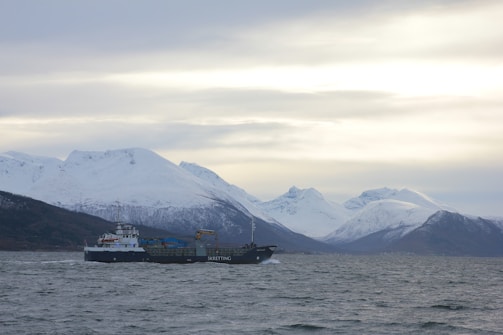 A cargo ship sails on a cold, choppy sea with snow-capped mountains in the background under a cloudy sky.