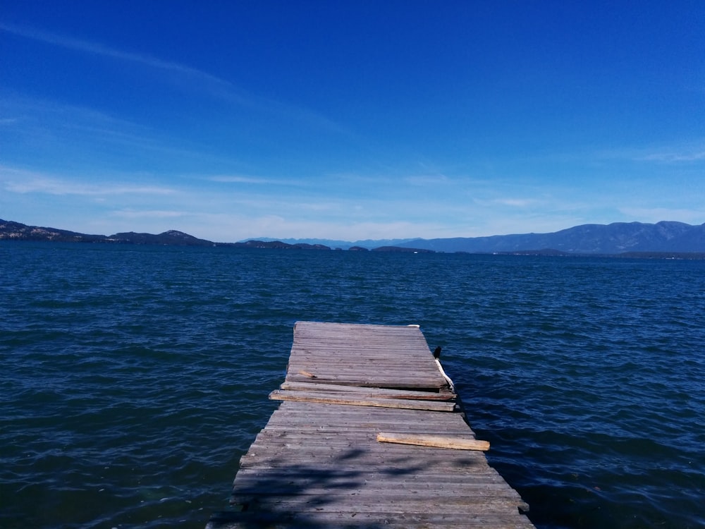 gray wooden dock