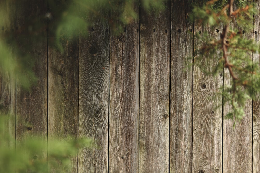 brown wooden fence