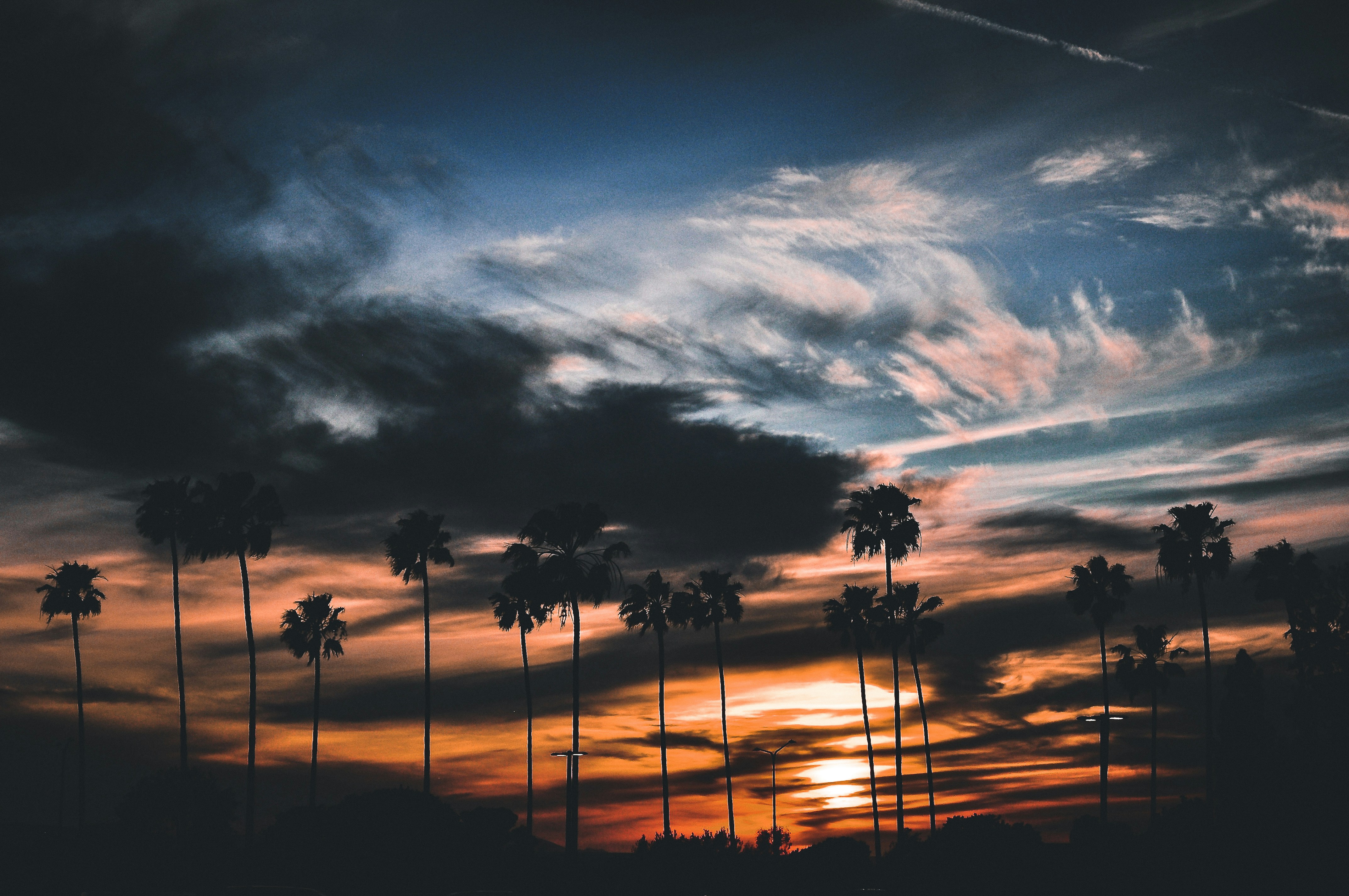 Photo by baileygullo