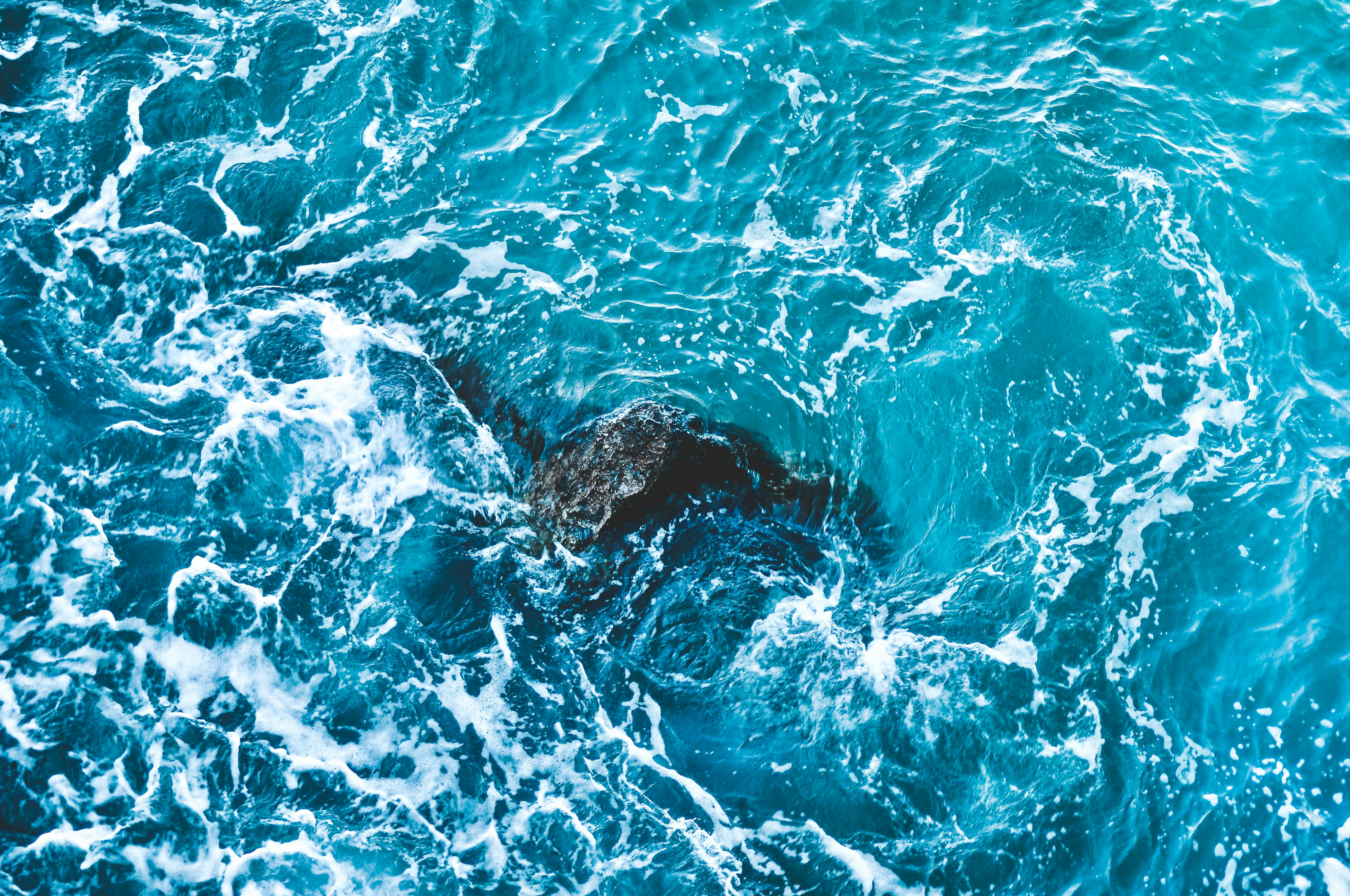 Photo by baileygullo