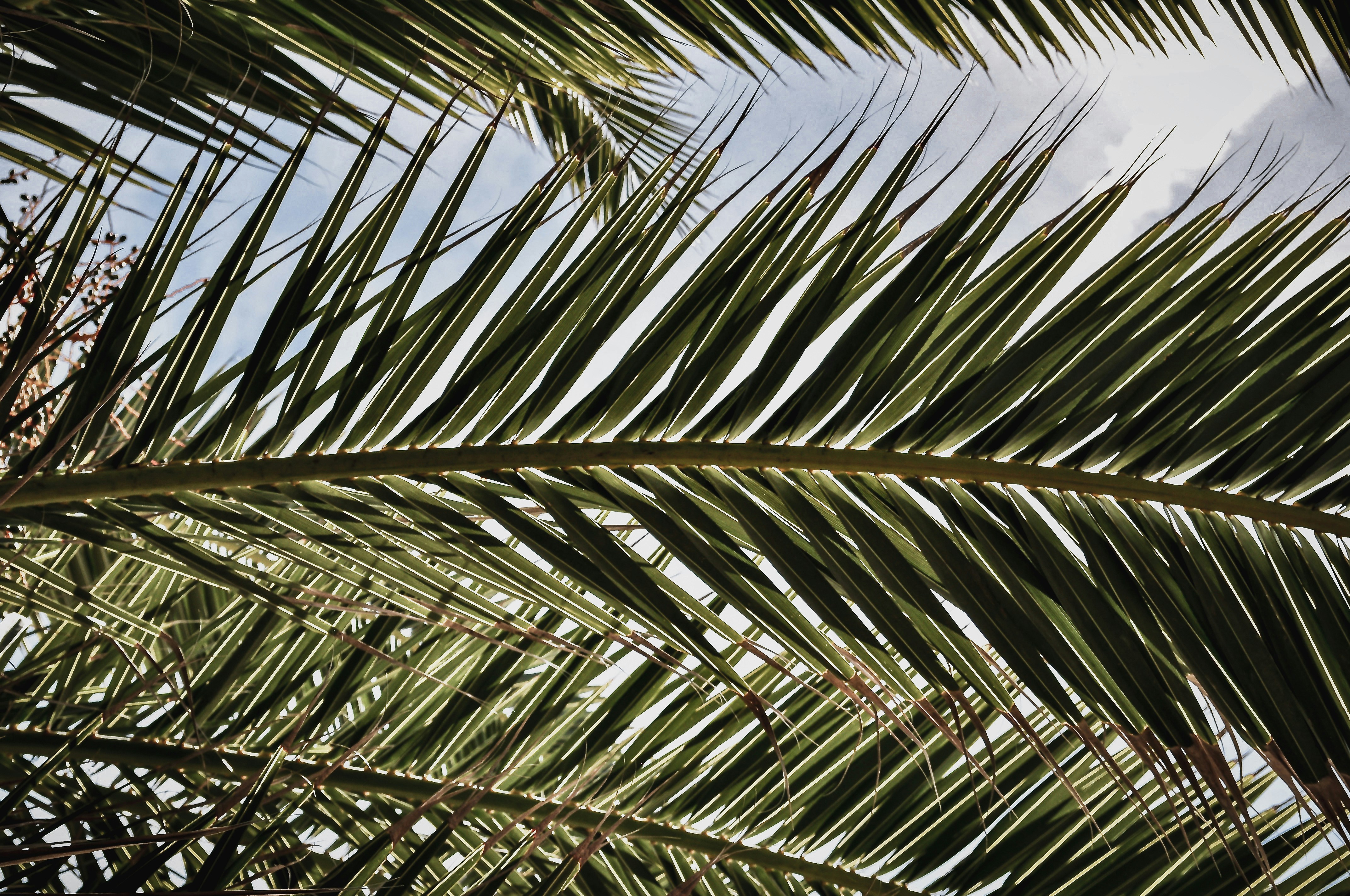 Photo by baileygullo