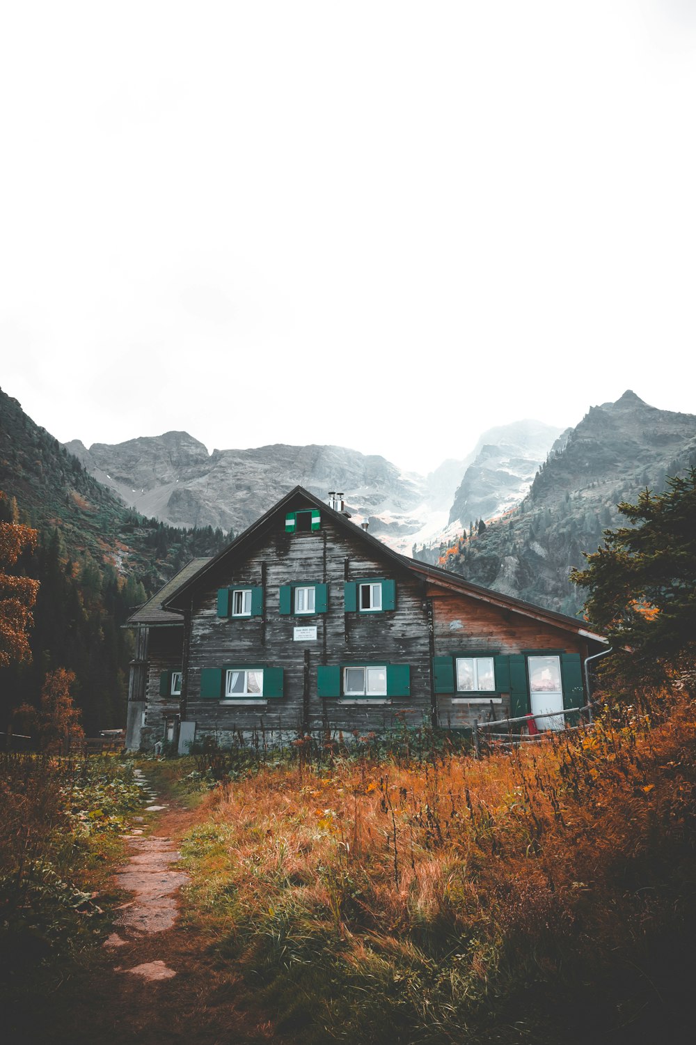 grey wooden house surrounded by forest during daytime