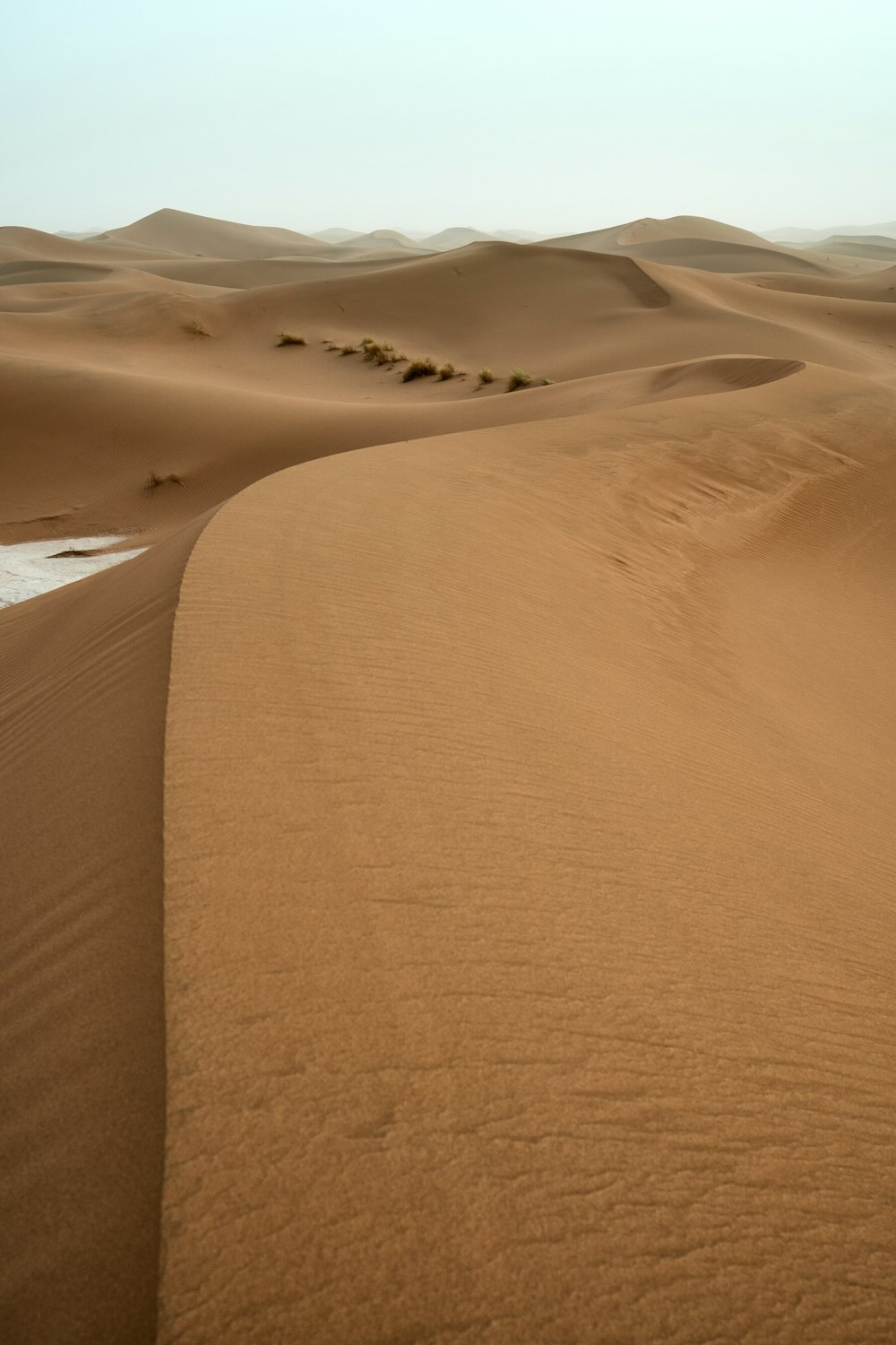 view of desert