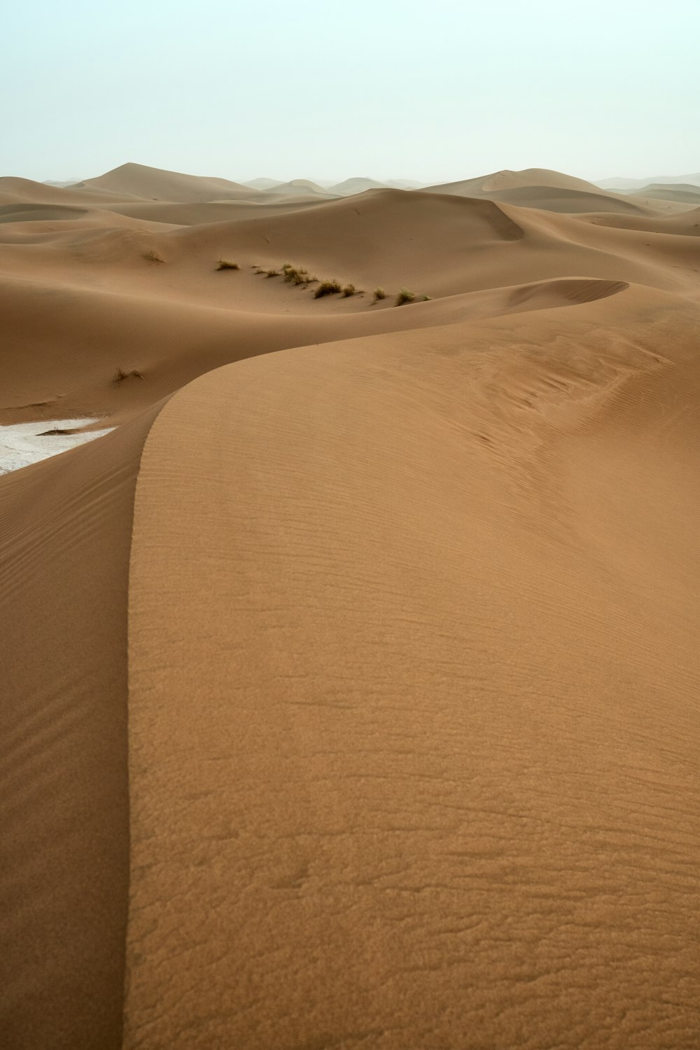 Vista del desierto