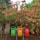 Three colorful waste bins are placed in front of a vibrant garden filled with pink and orange flowering shrubs. The bins have different labels indicating their use for different waste types. The background is lush with greenery and bright flowers, creating a lively contrast.