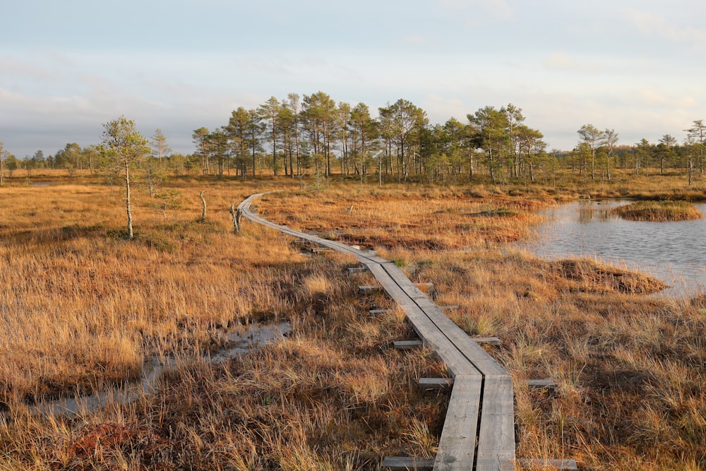 wooden pavement on grass field near lake at daytime