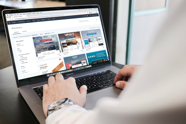 A person is using a laptop to browse an online marketplace featuring various digital products or themes. The screen displays a selection of software or website themes with descriptions and prices. The person seems to be in a well-lit room, sitting at a table.