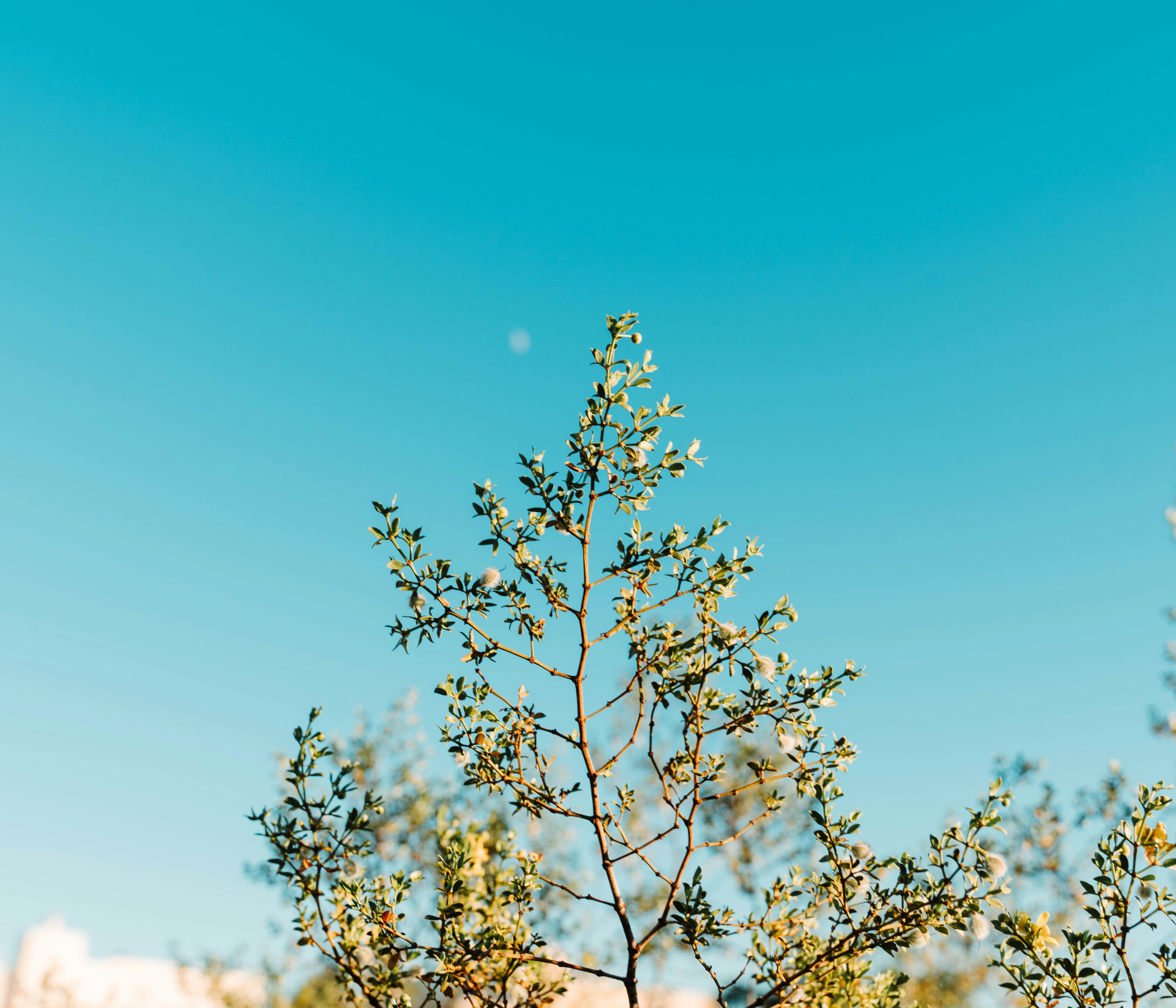 Photo by firedorange717