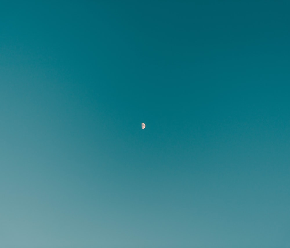 low-angle photography of half moon
