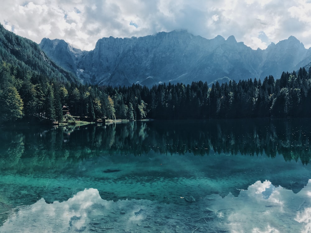 landscape photography of body of water near trees