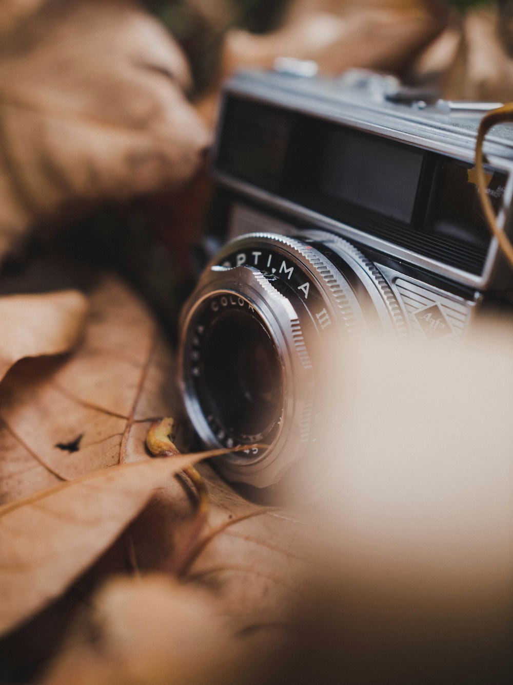 black adn gray camera on brown leaves