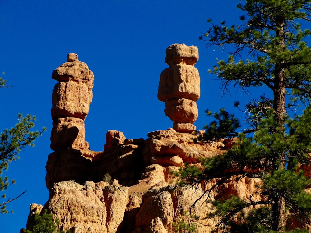 brown rock formation and tree during daytime