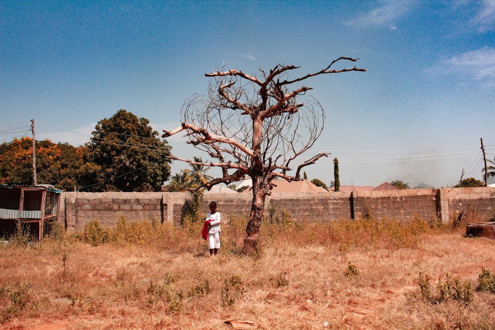 boy standing near bare-tree during daytime