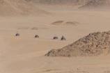 A group of riders on quad bikes kicking up dust trails across the sunlit desert terrain.