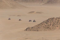 A group of friends gearing up for an off-road ATV tour on rugged desert trails.