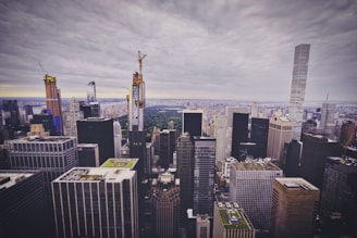 A panoramic view of a sprawling IT park under construction with cranes and modern buildings.