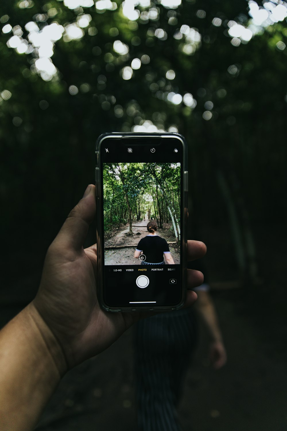 person capturing woman walking between trees