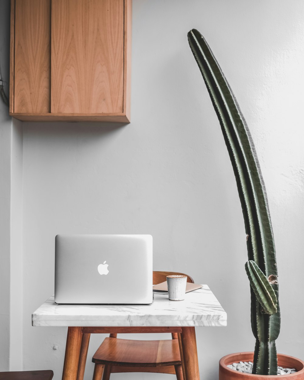 silver iMac on table beside green cactus plant