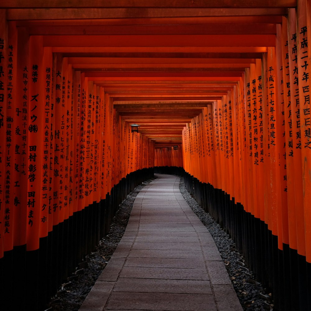 Sentier sous les portes de Tori