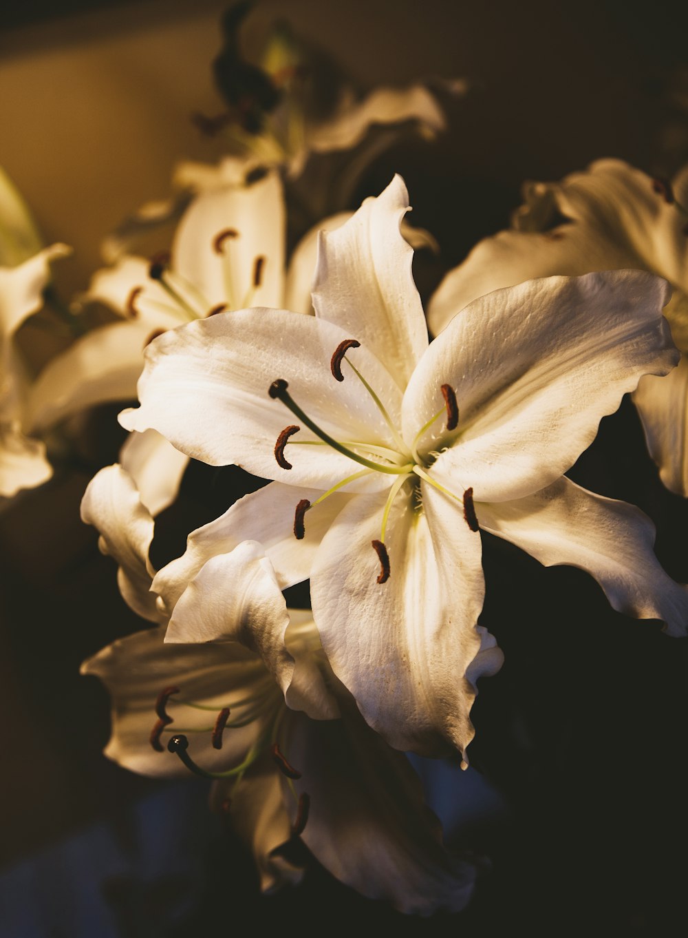 fotografia de foco seletivo da flor do lírio branco