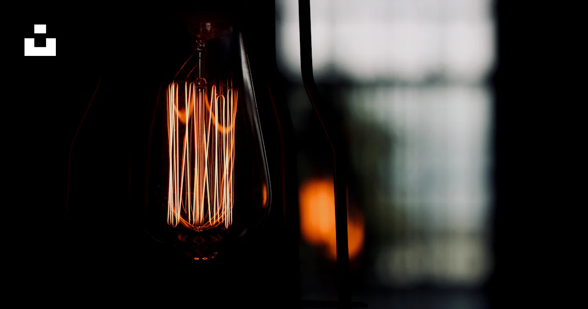 Closeup photo of black and brown light bulb photo – Free Light Image on ...